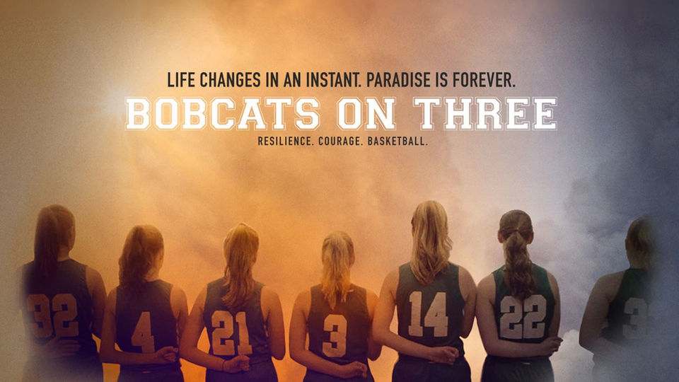 Bob Cats on Three